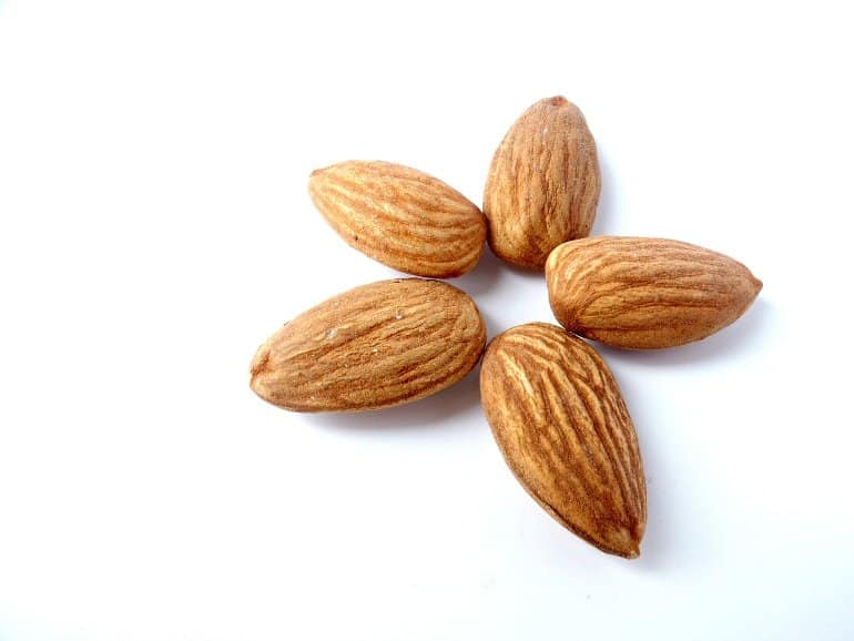 this shows almonds