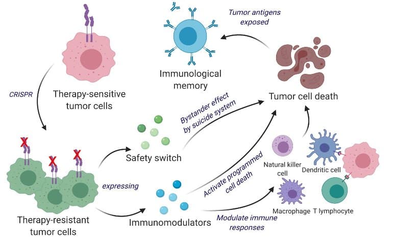 cancer cells diagram