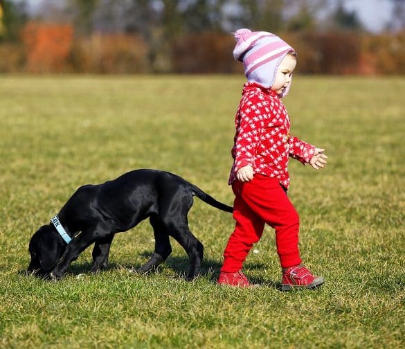 This shows a little girl and a puppy