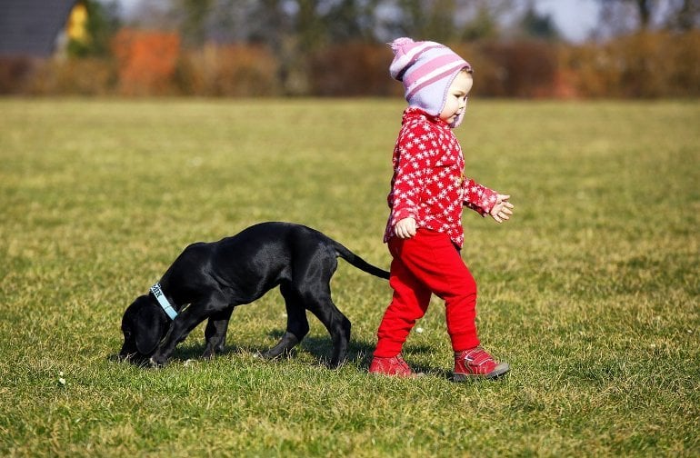 This shows a little girl and a puppy