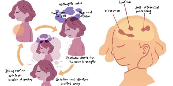 This shows a diagram from the study