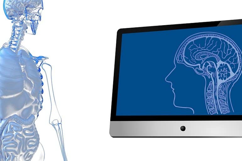 This shows the outline of a body and a brain on a computer