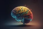 Multiple Sclerosis Discovery Could End Disease S Chronic Inflammation Multiple Sclerosis Discovery Could End Disease S Chronic Inflammation