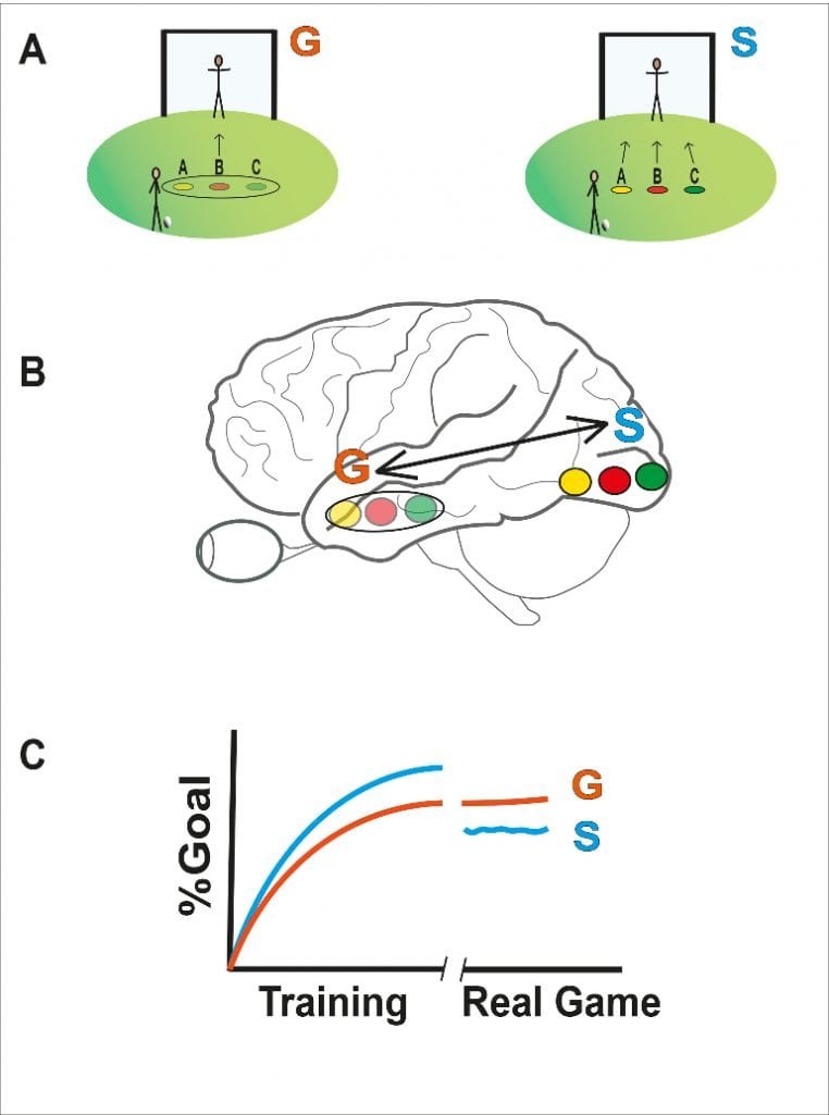 This shows a diagram from the study