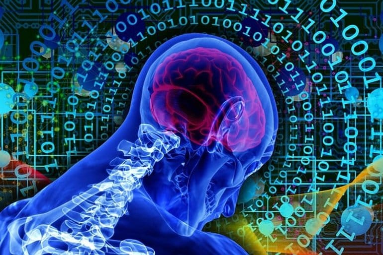 Real AI Will Need Biology: Computers Powered by Human Brain Cells