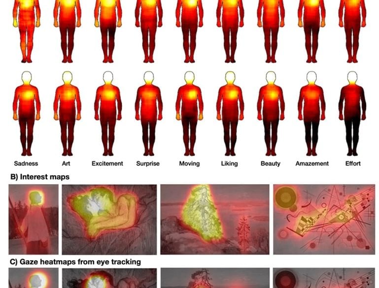 This shows heat maps of the body correlated with emotions