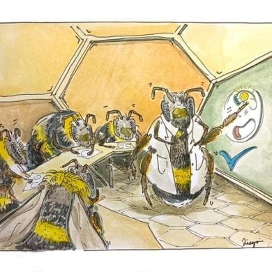 This shows a drawing of bees having a meeting