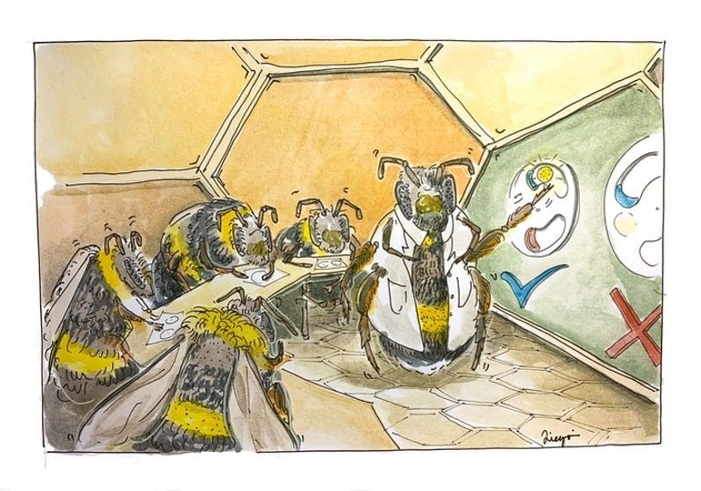 This shows a drawing of bees having a meeting