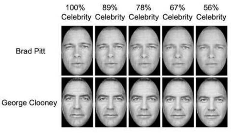 This shows the morphed face of Brad Pitt