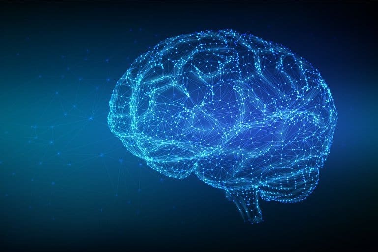 Ansätze für digitale Zwillinge wurden durch innovative Fortschritte in der Gehirnmodellierung ermöglicht