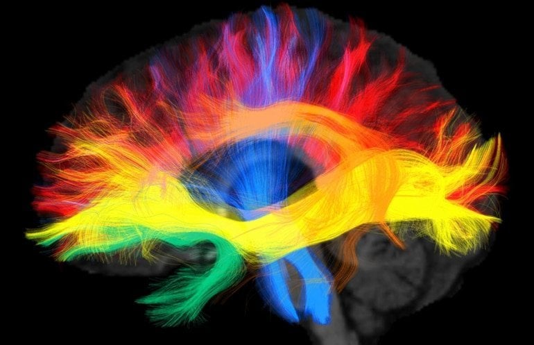 neurosciencenews.com