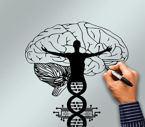 This shows a brain and dna