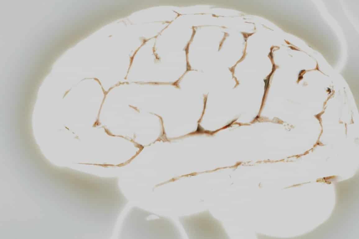 A Lucid Death: Sparks of Consciousness Detected in Dying Brains