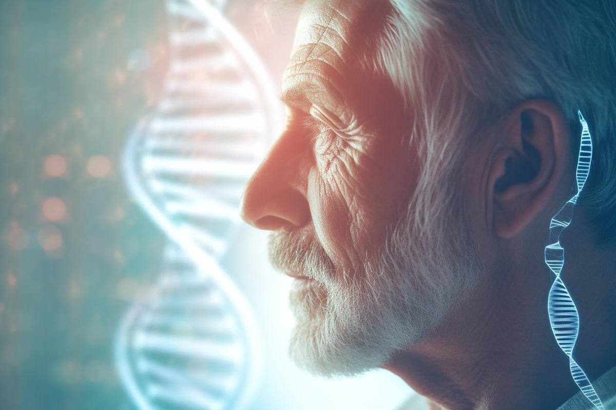 La thérapie génique inverse la perte auditive liée à l’âge