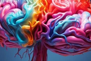 Thiis shows a brain.