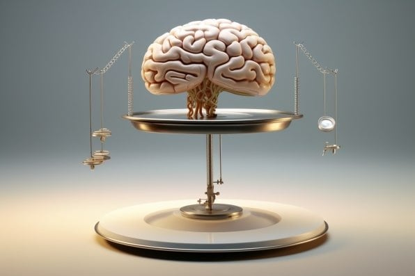 human brain percentage of body weight