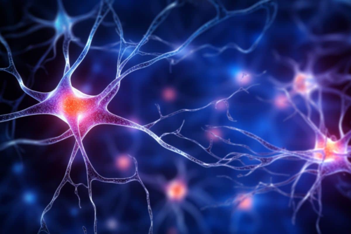 New Hybrid Cell Discovery Shakes Up Neuroscience - Neuroscience News