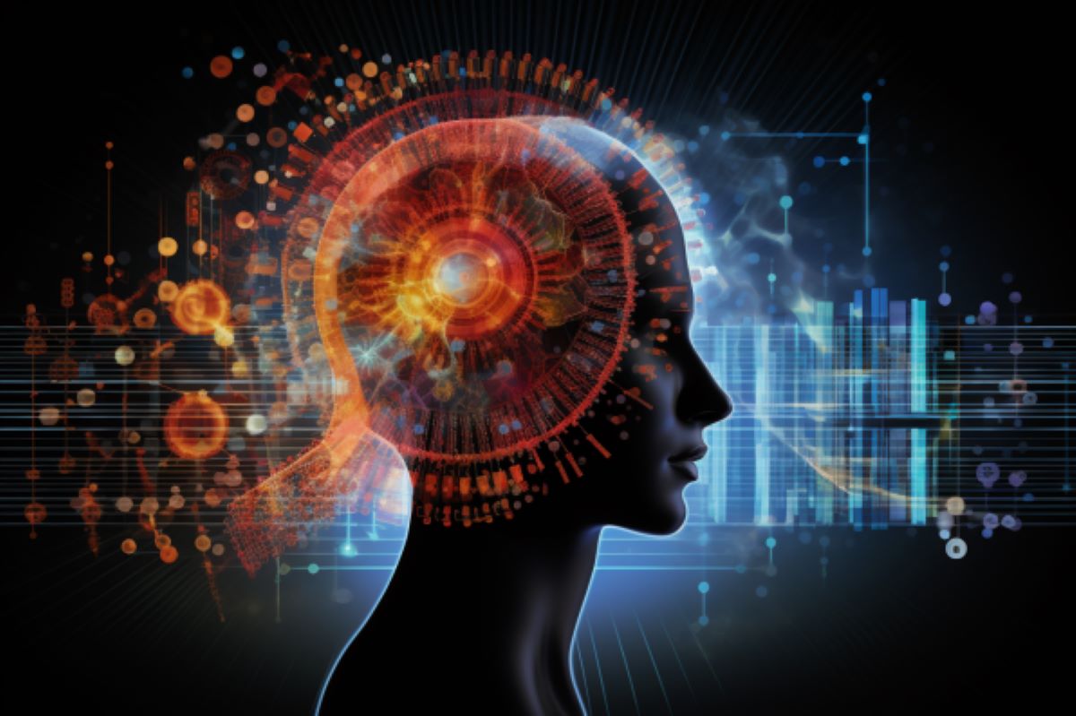 memory brain network neurosinces