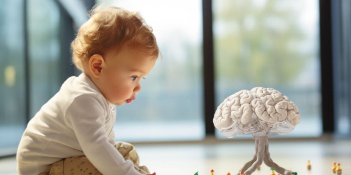 This shows a baby and a model of the brain.