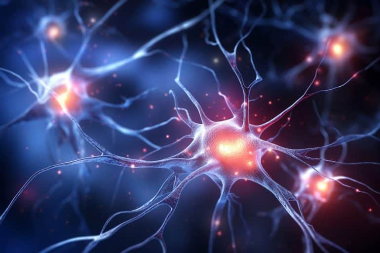 Brain Pathway for Rapid Threat Response Found - Neuroscience News