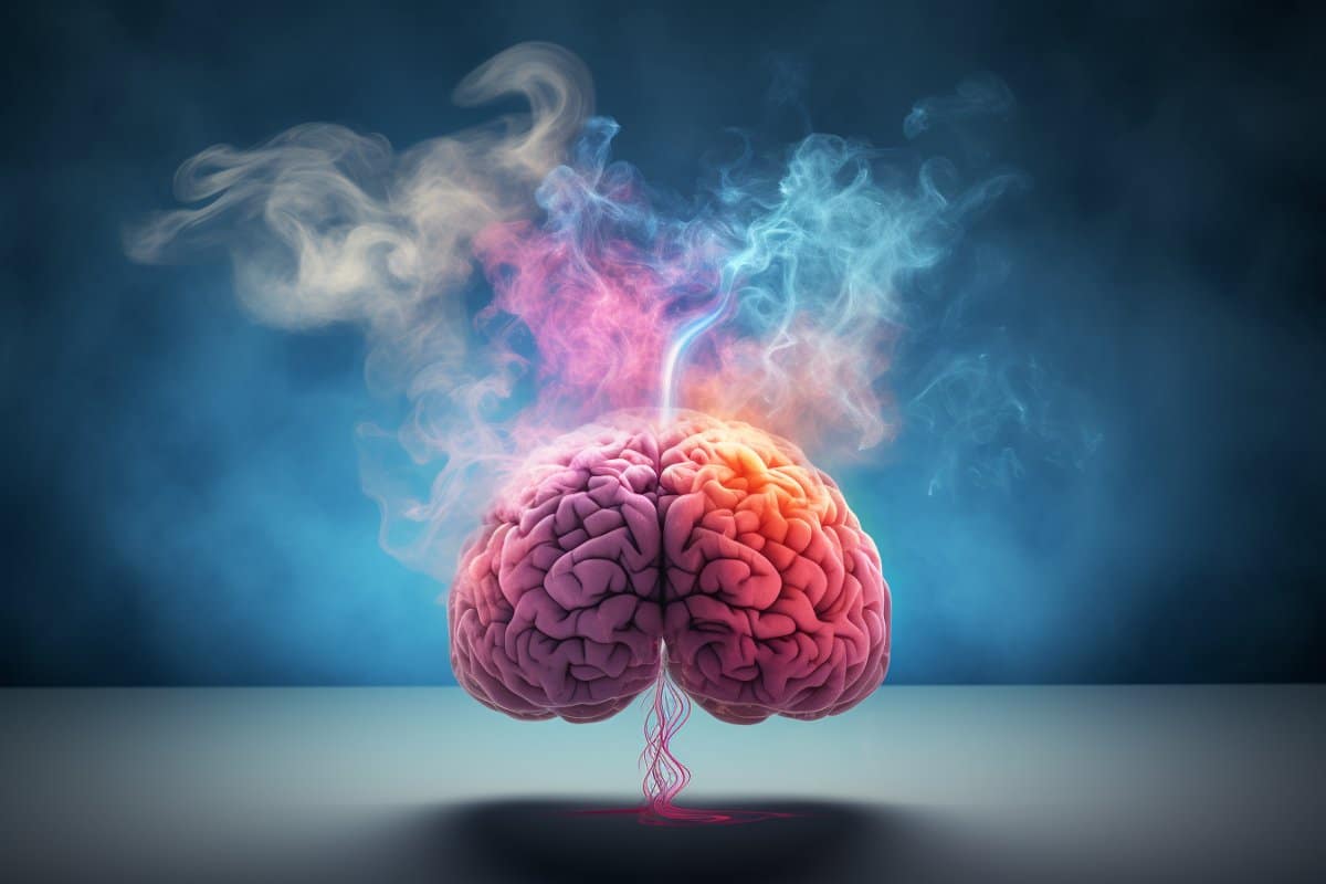 Como os cheiros afetam o mecanismo de tomada de decisão do cérebro