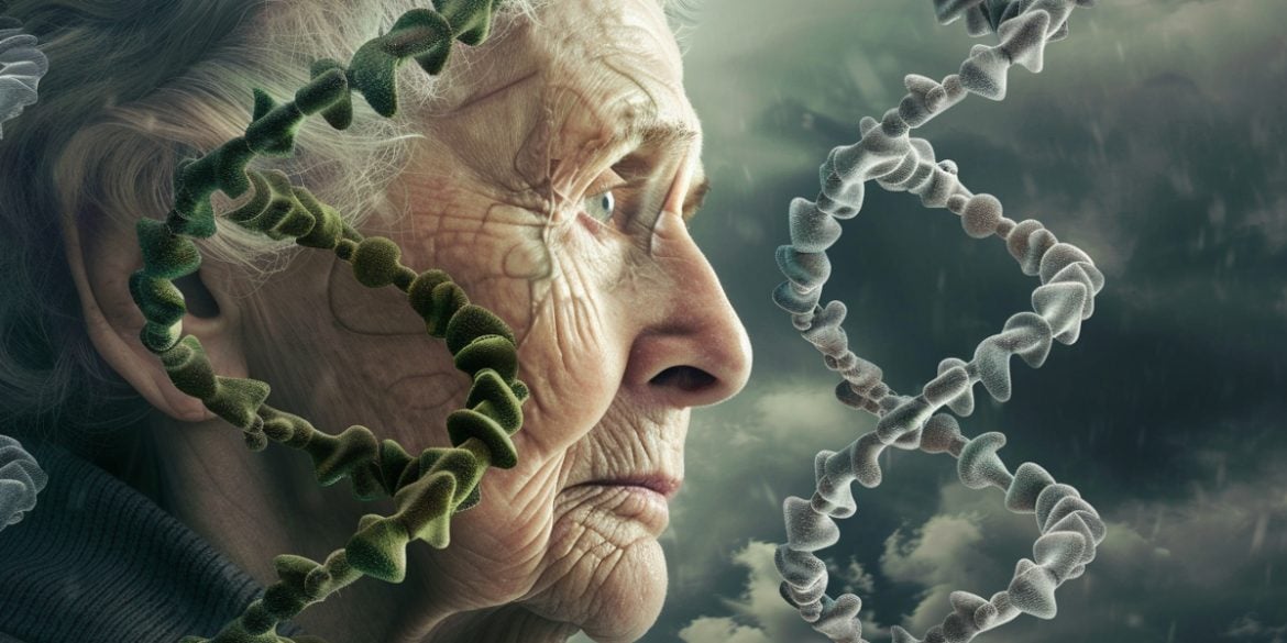 This shows an older lady and DNA.