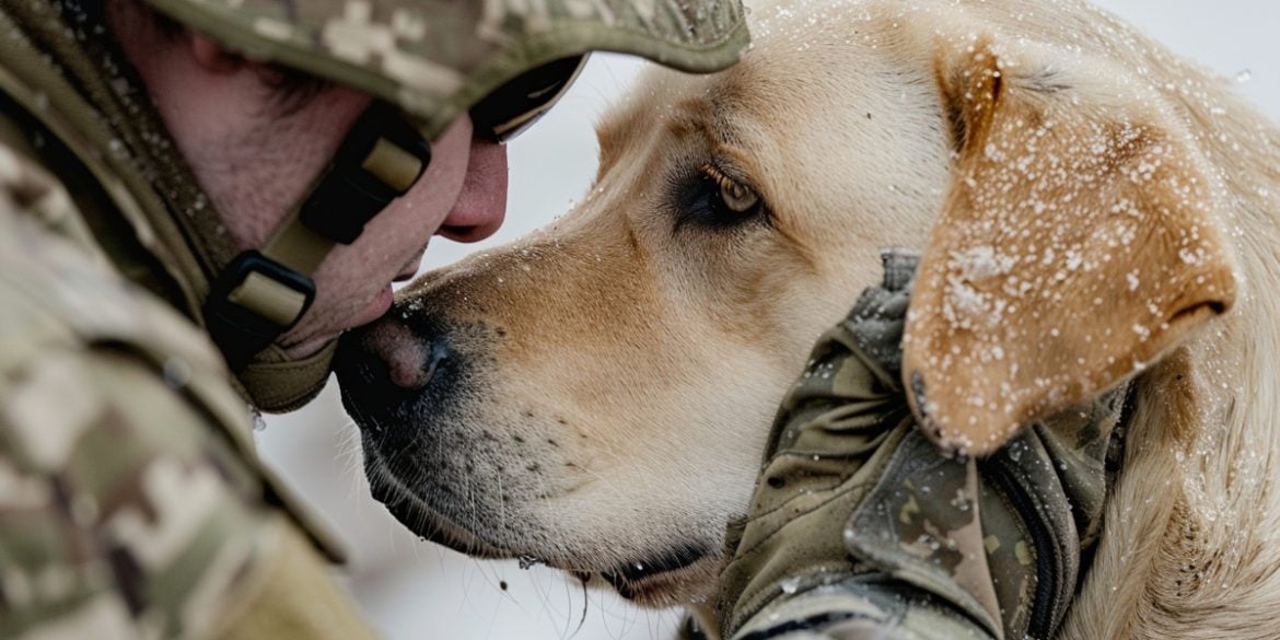 This shows a dog and a soldier.