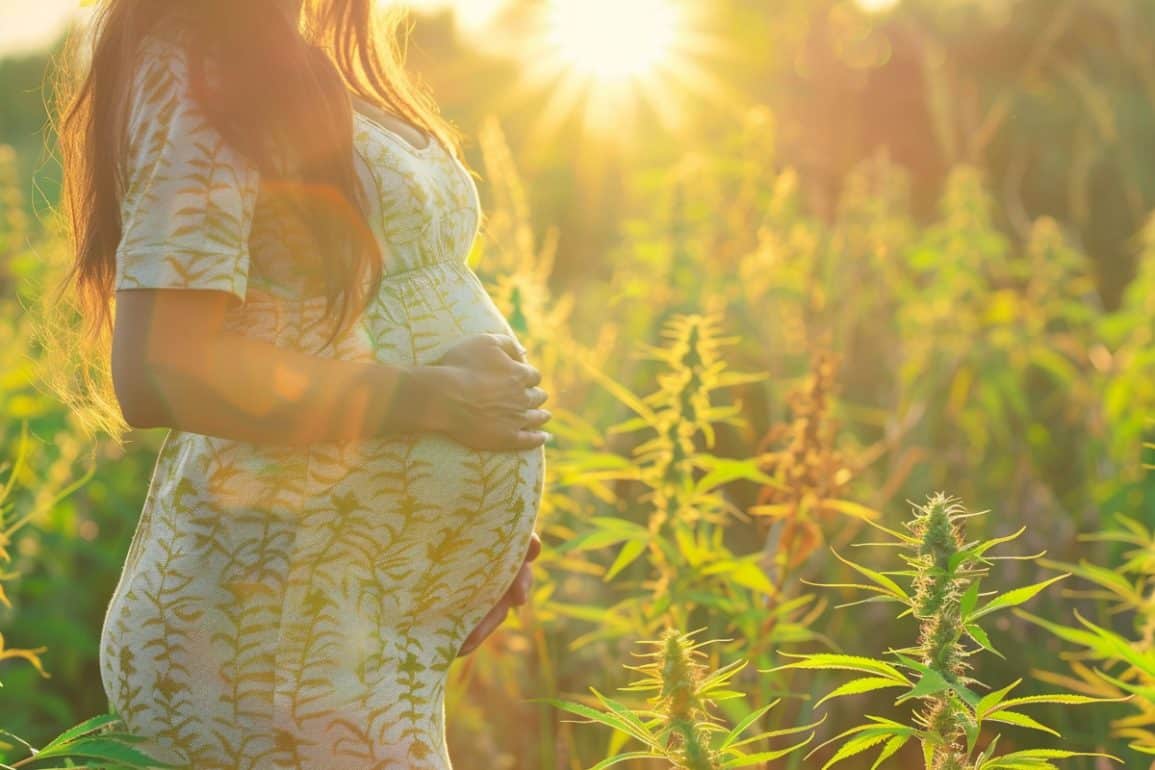 Cannabis in Pregnancy Linked to Autism and ADHD Risk