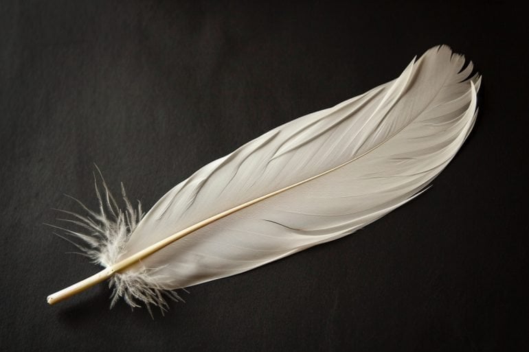 This shows a white feather.