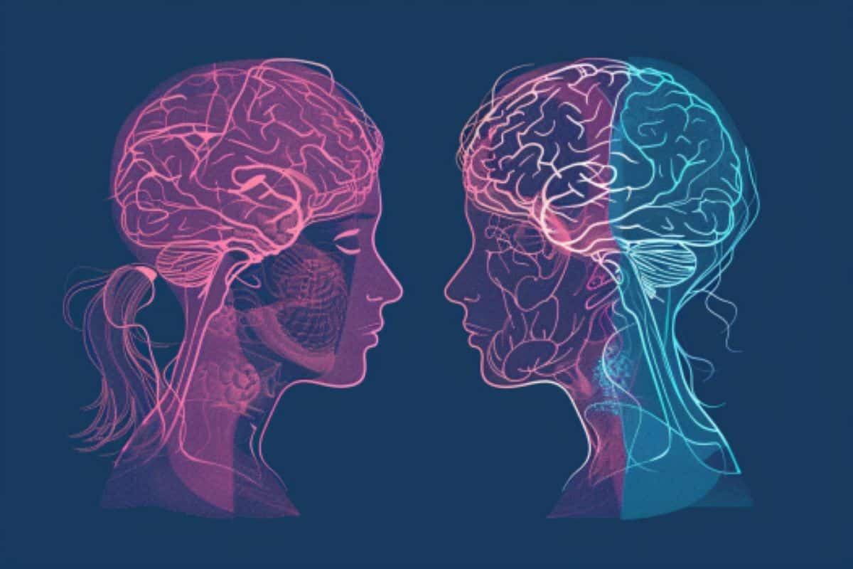 人工智能揭示男性和女性大脑结构的隐藏差异
