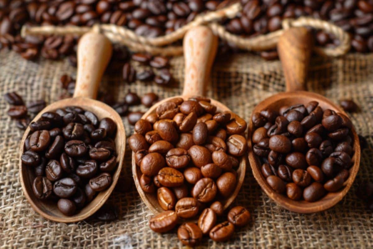 Summary: The caffeinated beverage industry continues to thrive, with the coffee sector alone generating significant economic activity. Yet, despite it