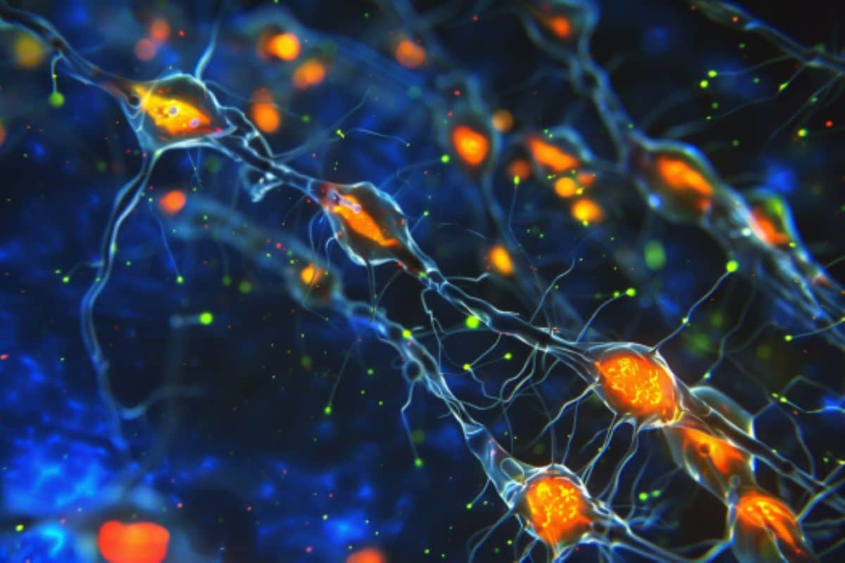 Perbaikan mielin memberikan pengobatan baru untuk multiple sclerosis