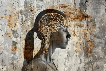 This shows a woman and the outline of a brain.
