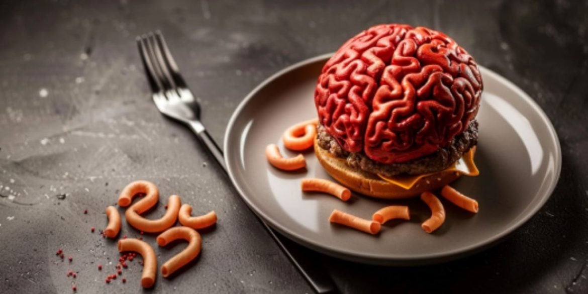 This shows a brain as a top of a burger bun.