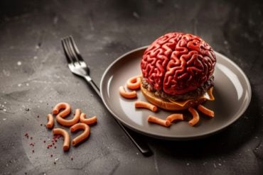 This shows a brain as a top of a burger bun.