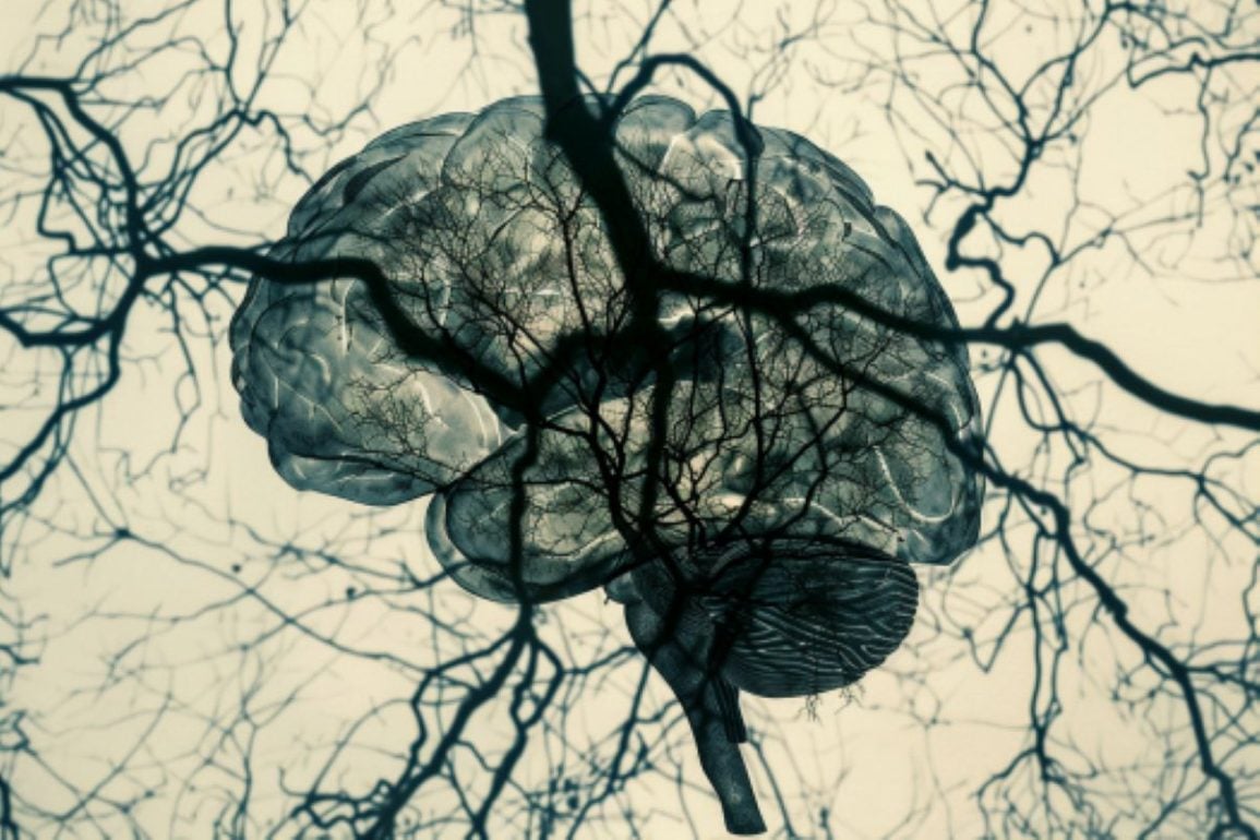 Brain's Oxygen Deprivation Mechanism Hinders Memory Formation