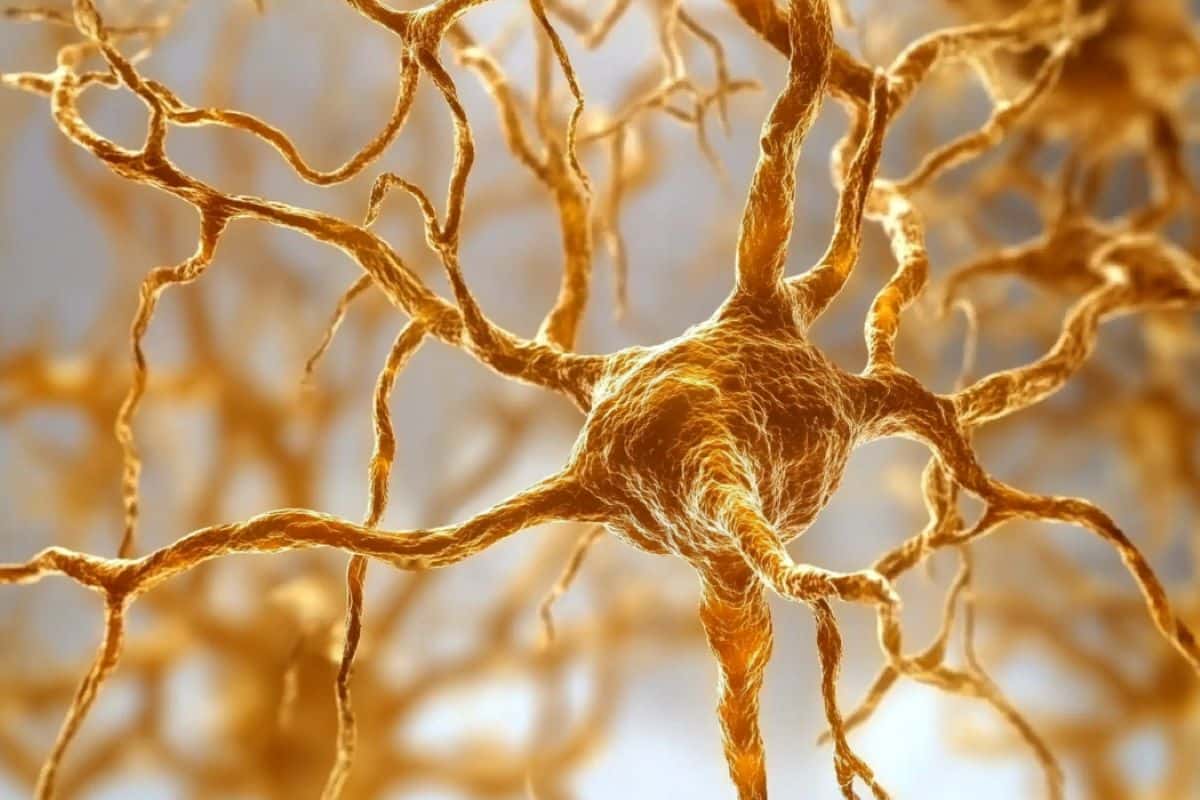 New More than one Sclerosis Drug Regenerates Myelin, Improves Motion – Neuroscience Information