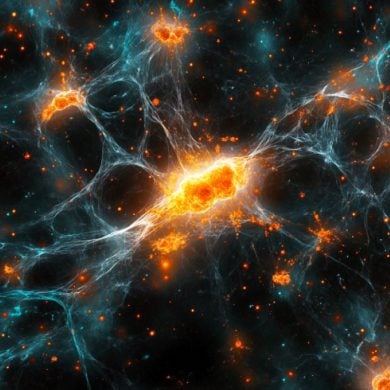 This shows astrocytes.