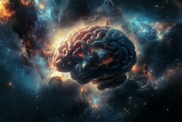 This shows a brain in space.