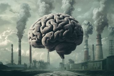 This shows smoke stacks and a brain.