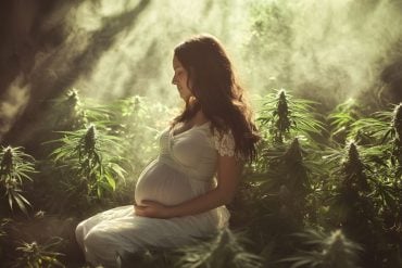 This shows a pregnant woman and cannabis plants.