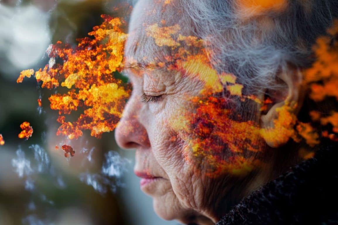 Liver Inflammation Linked To Cognitive Decline In Aging Neuroscience News