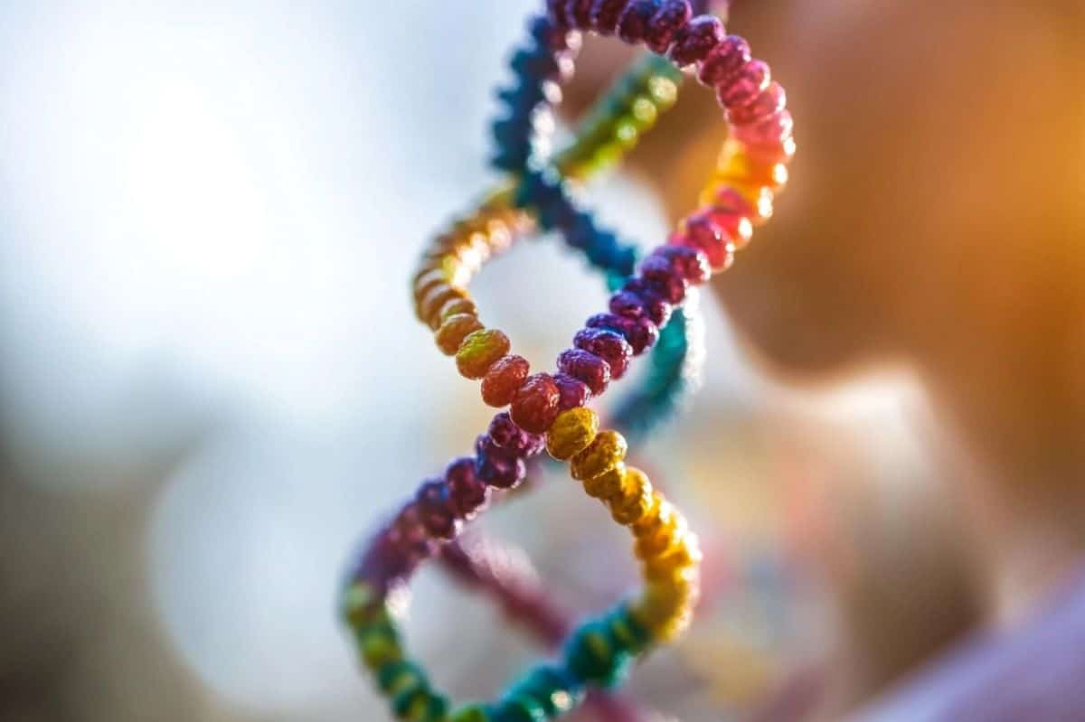 New Genetic Mutations Connected to Schizophrenia Chance – Neuroscience Information