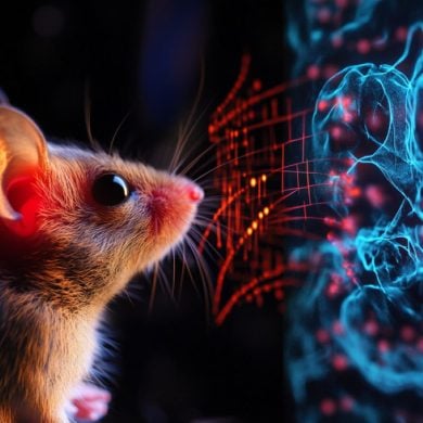 This shows a mouse and musical notes.