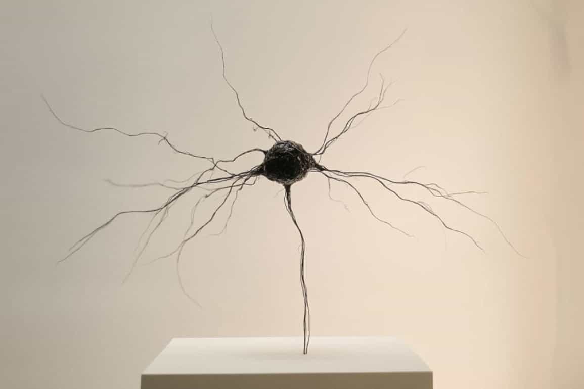 This shows a statue of a neuron.