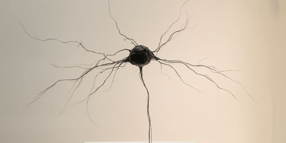 This shows a statue of a neuron.