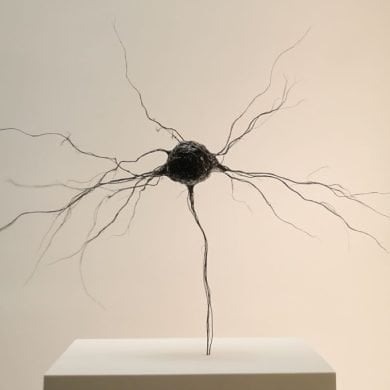 This shows a statue of a neuron.