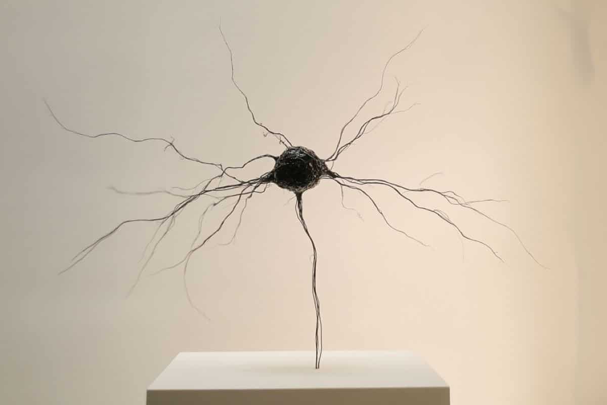 This shows a statue of a neuron.