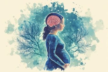 This shows a pregnant woman and a brain.