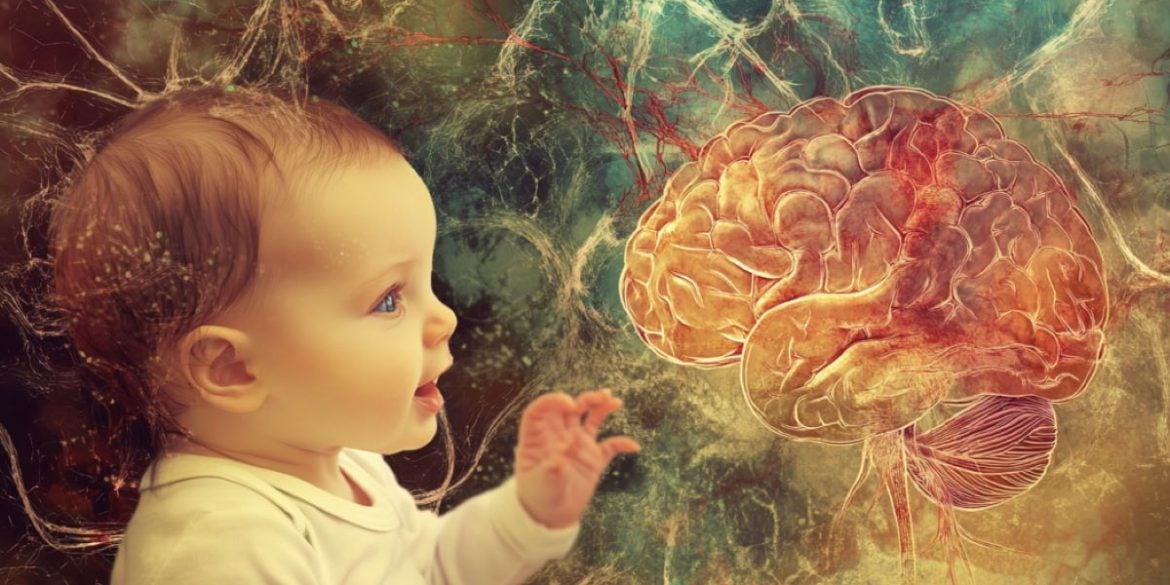 This shows a baby and a brain.